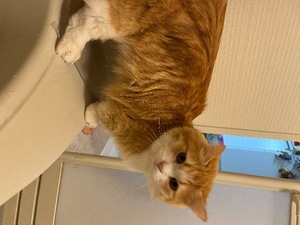 Kuraraの写メ日記｜プレミアム 吉原高級店ソープ