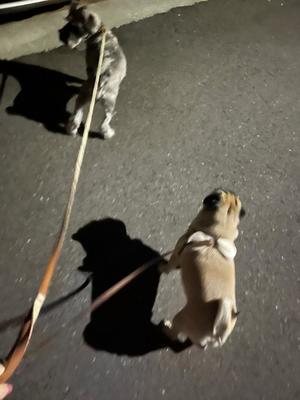 Kuraraの写メ日記｜プレミアム 吉原高級店ソープ