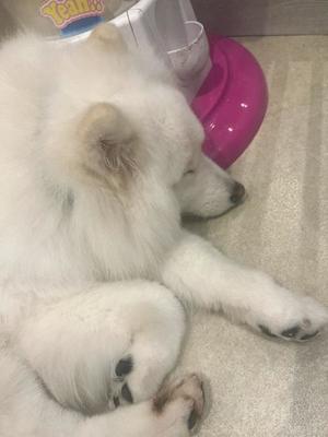 Satsukiの写メ日記｜プレミアム 川崎高級店ソープ