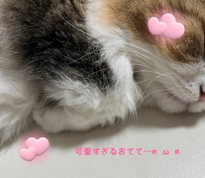 Misakiの写メ日記｜プレミアム 吉原高級店ソープ