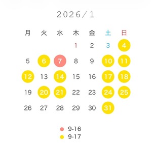 Wakabaの写メ日記｜プレミアム 川崎高級店ソープ