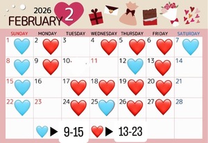 Ichikaの写メ日記｜プレミアム 川崎高級店ソープ