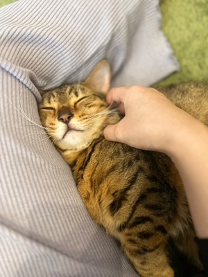 Ritoの写メ日記｜プレミアム 吉原高級店ソープ