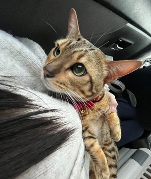 Ritoの写メ日記｜プレミアム 吉原高級店ソープ