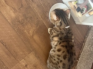 Ritoの写メ日記｜プレミアム 吉原高級店ソープ