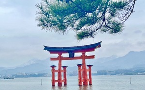 Ritoの写メ日記｜プレミアム 吉原高級店ソープ