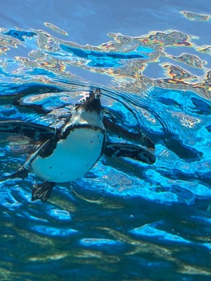 Ritoの写メ日記｜プレミアム 吉原高級店ソープ