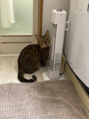 Ritoの写メ日記｜プレミアム 吉原高級店ソープ