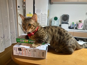 Ritoの写メ日記｜プレミアム 川崎高級店ソープ