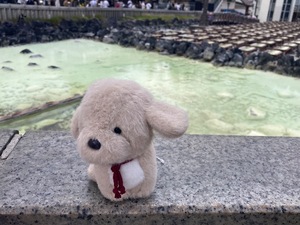 Kobatoの写メ日記｜プレミアム 吉原高級店ソープ