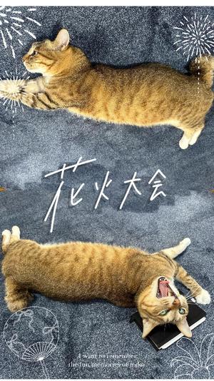 白鳥麗子の写メ日記｜プレジデントクラブ 吉原高級店ソープ
