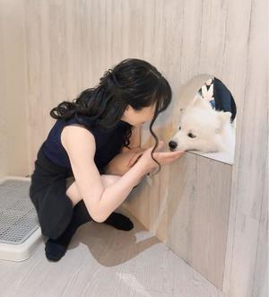 白藤の写メ日記｜プレジデントクラブ 吉原高級店ソープ