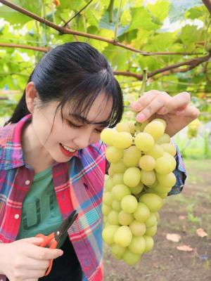 白藤の写メ日記｜プレジデントクラブ 吉原高級店ソープ
