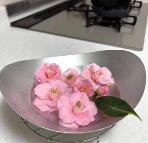 白藤の写メ日記｜プレジデントクラブ 吉原高級店ソープ