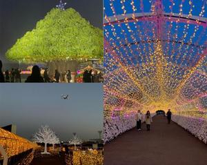 要 杏奈の写メ日記｜プレジデントクラブ 吉原高級店ソープ