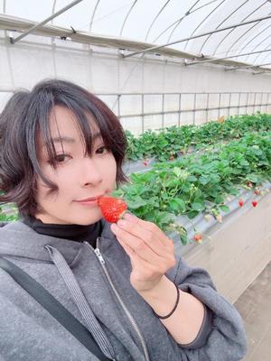 高杉しのぶの写メ日記｜プレジデントクラブ 吉原高級店ソープ