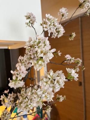 大原エミリの写メ日記｜プレジデントクラブ 吉原高級店ソープ