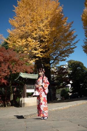 朝日奈まおの写メ日記｜プレジデントクラブ 吉原高級店ソープ