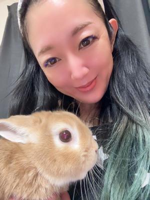 月島ももの写メ日記|プレジデントクラブ 吉原高級店ソープ