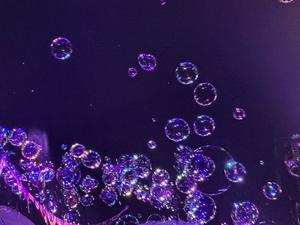 月島ももの写メ日記｜プレジデントクラブ 吉原高級店ソープ