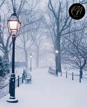 有村真理愛の写メ日記｜プレジデントクラブ 吉原高級店ソープ