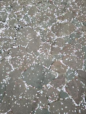 二宮瑠香の写メ日記｜プレジデントクラブ 吉原高級店ソープ