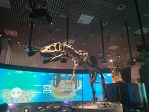 二宮瑠香の写メ日記｜プレジデントクラブ 吉原高級店ソープ