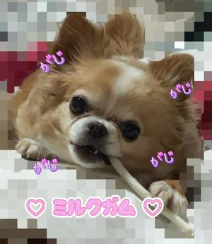 一条彩香の写メ日記｜プレジデントクラブ 吉原高級店ソープ