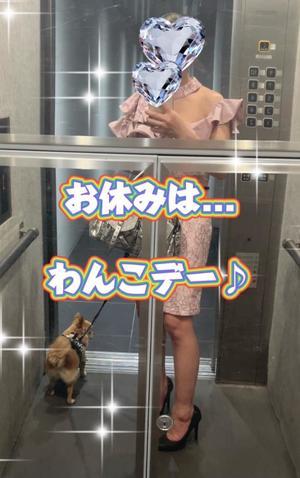 一条彩香の写メ日記｜プレジデントクラブ 吉原高級店ソープ