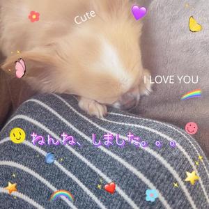 一条彩香の写メ日記｜プレジデントクラブ 吉原高級店ソープ