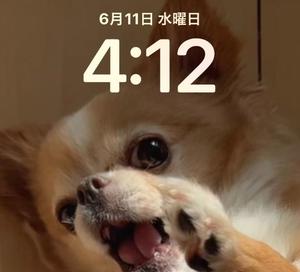 一条彩香の写メ日記｜プレジデントクラブ 吉原高級店ソープ