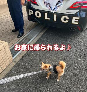一条彩香の写メ日記｜プレジデントクラブ 吉原高級店ソープ