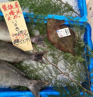 一条彩香の写メ日記｜プレジデントクラブ 吉原高級店ソープ