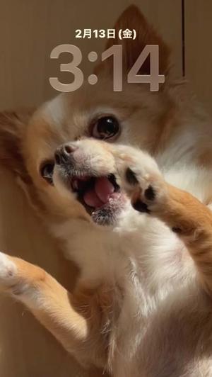 一条彩香の写メ日記｜プレジデントクラブ 吉原高級店ソープ