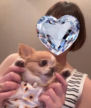 一条彩香の写メ日記｜プレジデントクラブ 吉原高級店ソープ