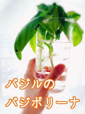 冬木 舞の写メ日記｜プレジデントクラブ 吉原高級店ソープ
