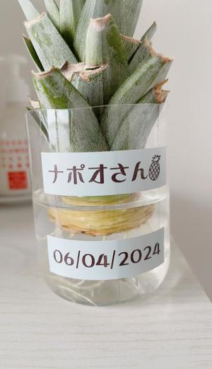 冬木 舞の写メ日記｜プレジデントクラブ 吉原高級店ソープ