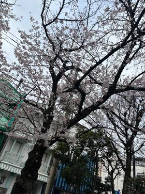 倉本の写メ日記｜プレジデントクラブ 吉原高級店ソープ