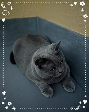 吹石里香の写メ日記｜プレジデントクラブ 吉原高級店ソープ