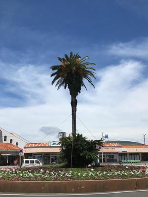 松嶋那々の写メ日記｜プレジデントクラブ 吉原高級店ソープ