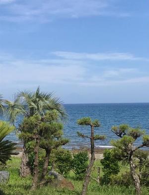 松嶋那々の写メ日記｜プレジデントクラブ 吉原高級店ソープ
