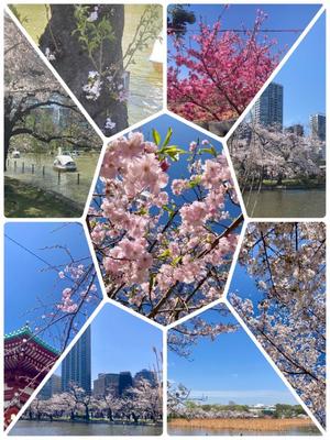 松嶋那々の写メ日記｜プレジデントクラブ 吉原高級店ソープ