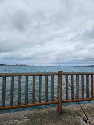 成瀬まこの写メ日記｜プレジデントクラブ 吉原高級店ソープ