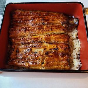 蒼井海久の写メ日記｜プレジデントハウス 吉原大衆店ソープ
