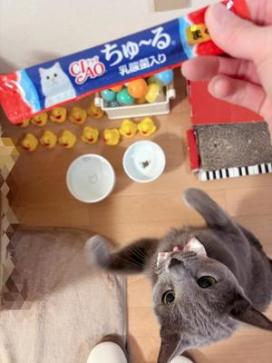 有村もえの写メ日記｜プレジデントハウス 吉原大衆店ソープ
