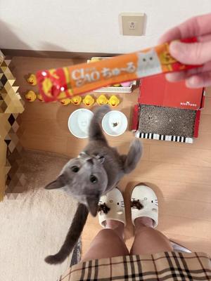 有村もえの写メ日記｜プレジデントハウス 吉原大衆店ソープ