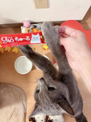 有村もえの写メ日記｜プレジデントハウス 吉原大衆店ソープ