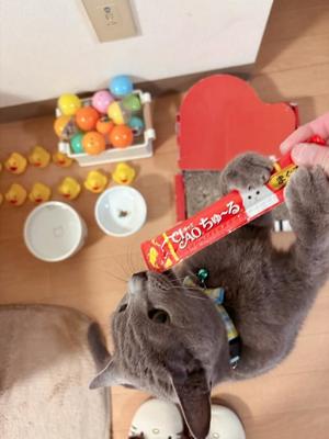 有村もえの写メ日記｜プレジデントハウス 吉原大衆店ソープ