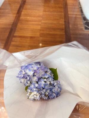 有村もえの写メ日記｜プレジデントハウス 吉原大衆店ソープ
