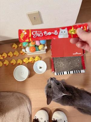有村もえの写メ日記｜プレジデントハウス 吉原大衆店ソープ